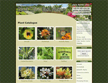 Tablet Screenshot of blackoliveeastnursery.net